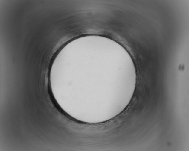 X0000101710011200808071234