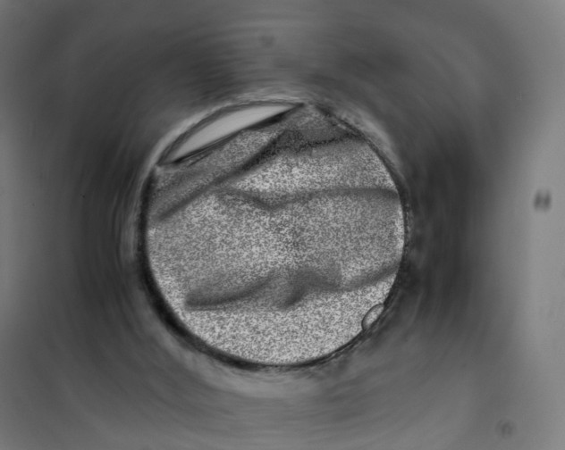X0000101710012200808071234