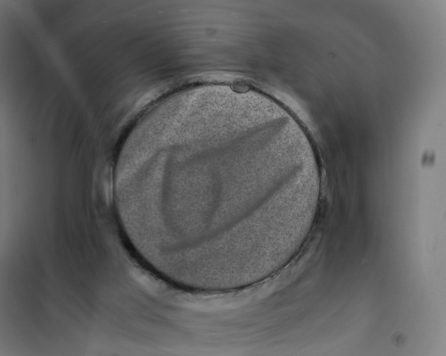 X0000101710013200808071234