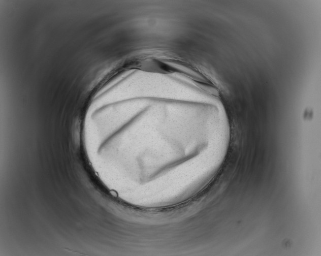 X0000101710014200808071234