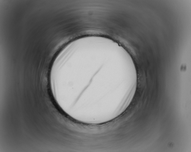 X0000101710015200808071234