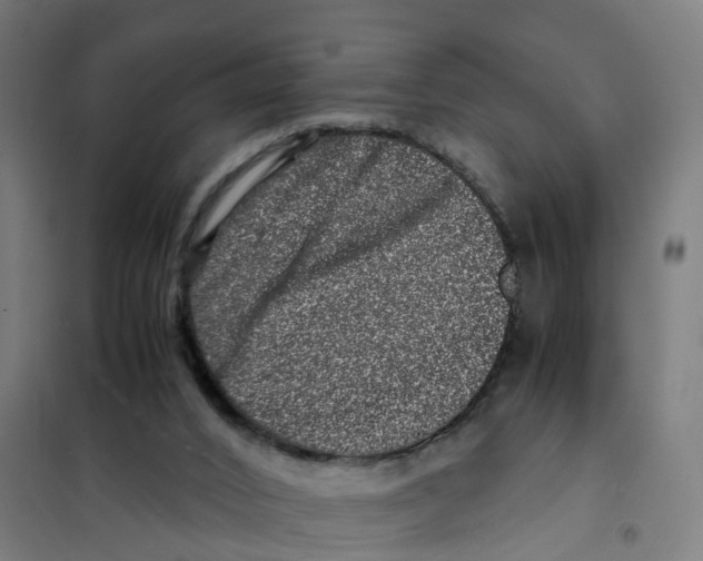 X0000101710016200808071234