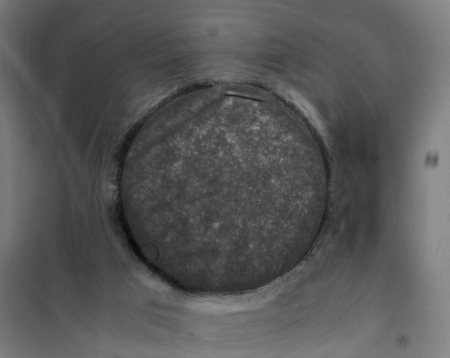 X0000101710017200808071234