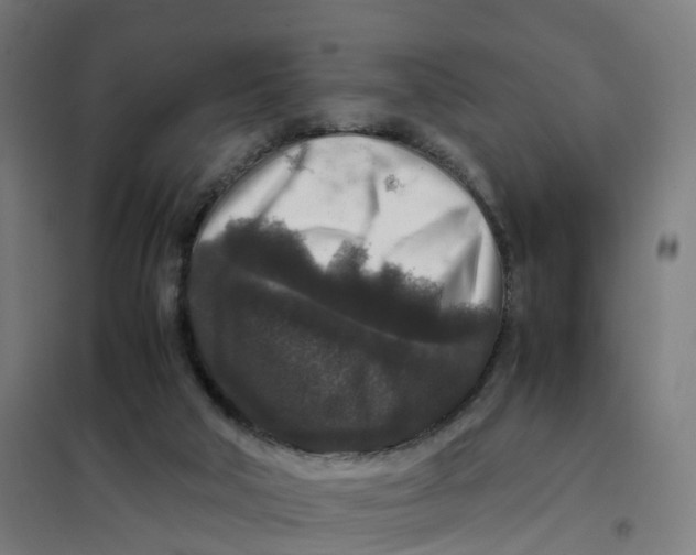 X0000101710018200808071234