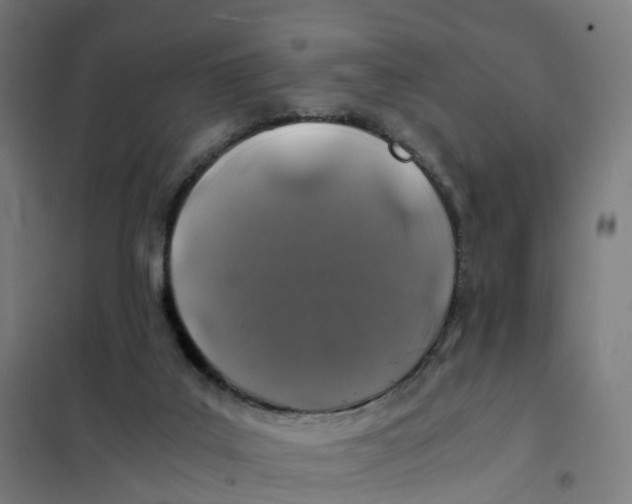 X0000101710019200808071234