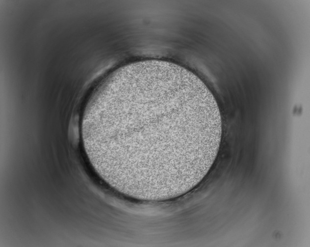 X0000101710020200808071234