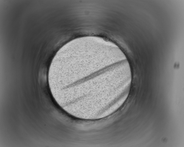 X0000101710021200808071234