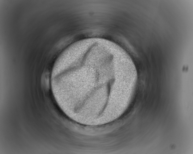 X0000101710022200808071234