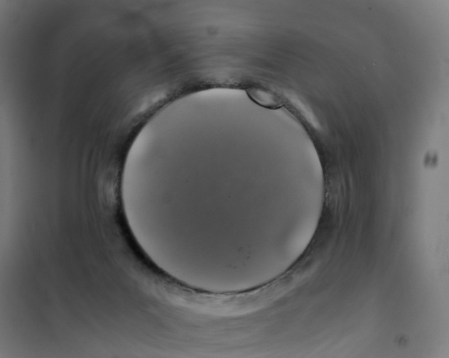 X0000101710023200808071234