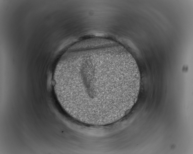 X0000101710024200808071234
