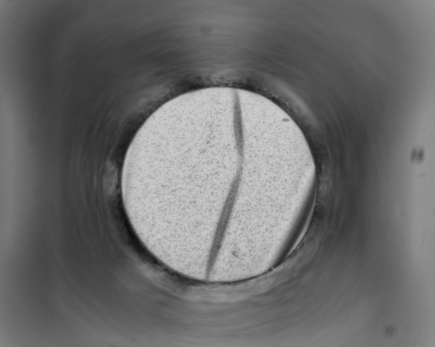X0000101710025200808071234