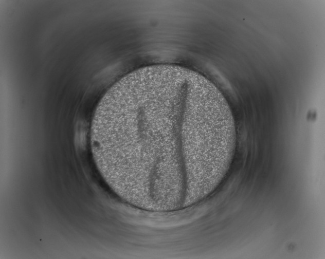 X0000101710026200808071234