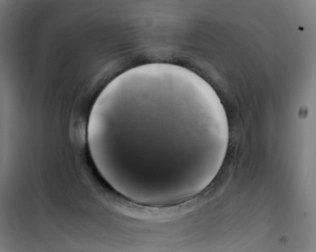 X0000101710027200808071234