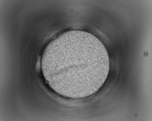 X0000101710028200808071234