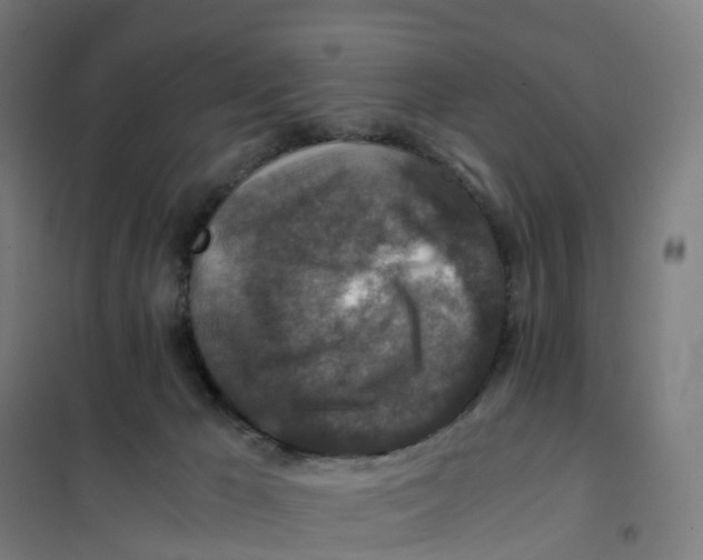X0000101710029200808071234