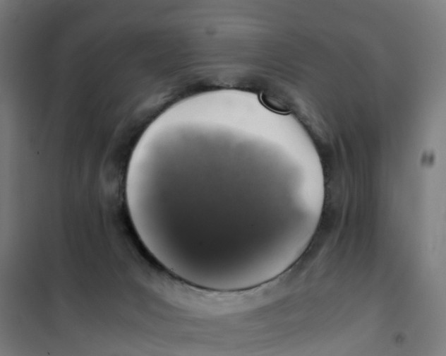 X0000101710031200808071234