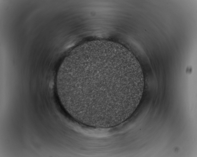 X0000101710032200808071234