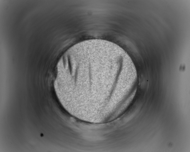 X0000101710036200808071234