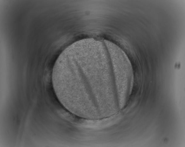 X0000101710037200808071234