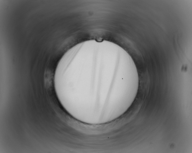 X0000101710038200808071234