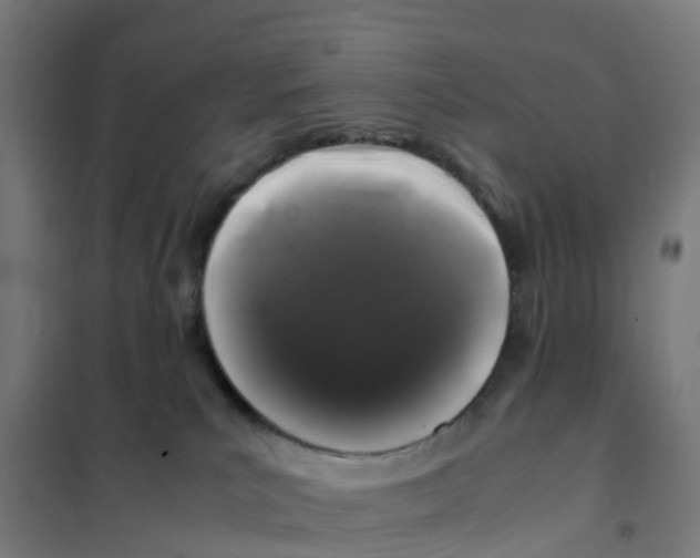 X0000101710039200808071234