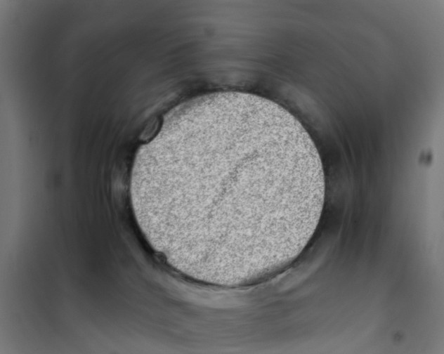 X0000101710040200808071234