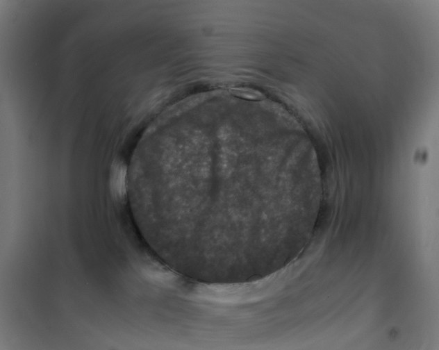 X0000101710041200808071234