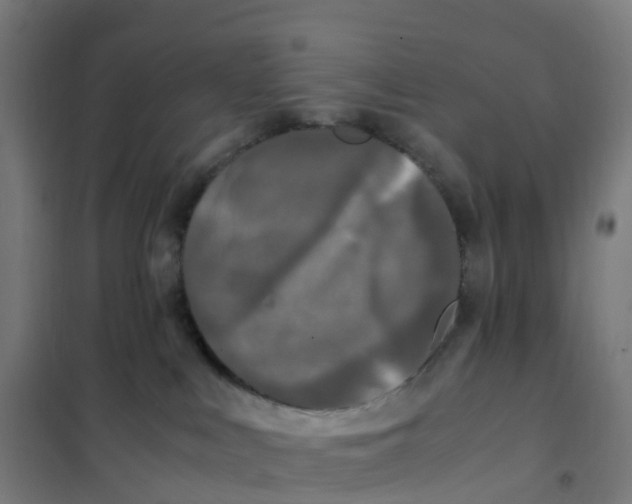 X0000101710043200808071234