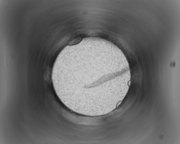 X0000101710044200808071234