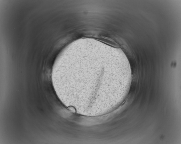 X0000101710045200808071234