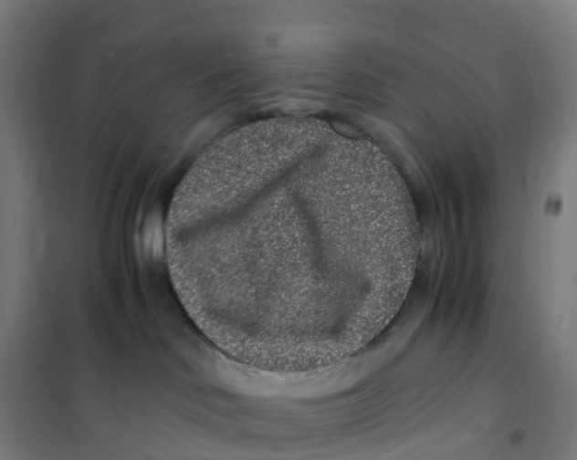 X0000101710046200808071234