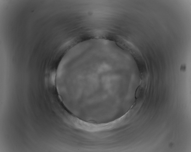 X0000101710047200808071233