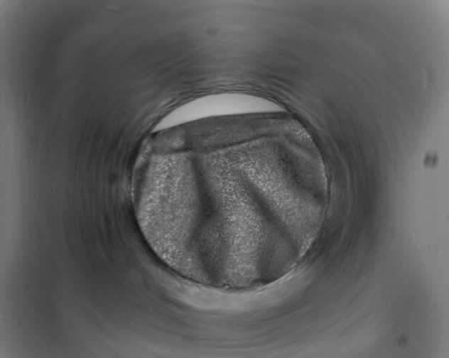 X0000101710048200808071233