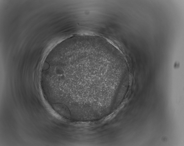 X0000101710049200808071233