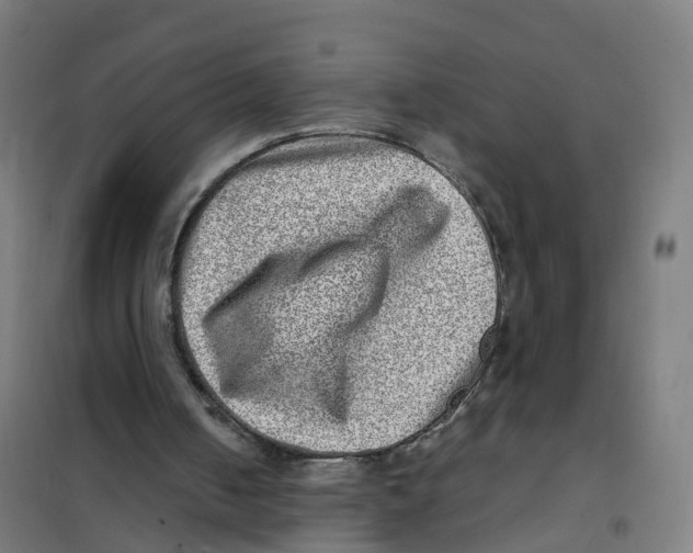 X0000101710050200808071233