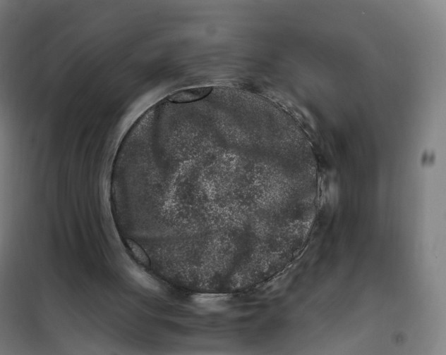 X0000101710051200808071233