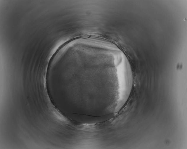 X0000101710052200808071233