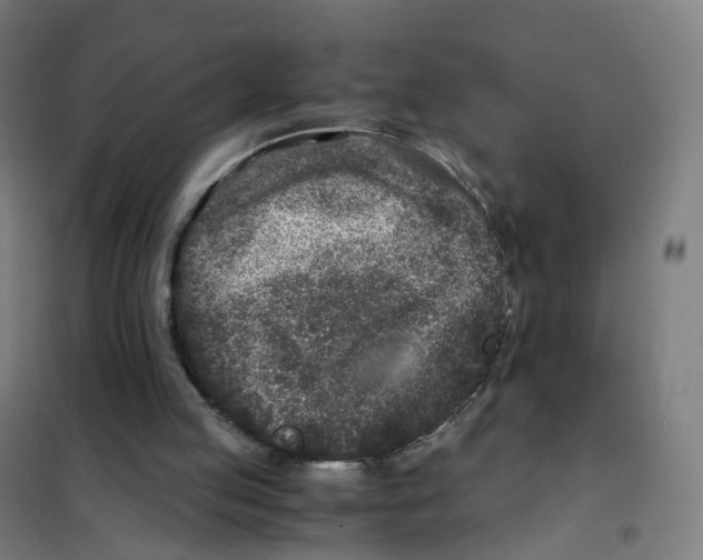 X0000101710053200808071233