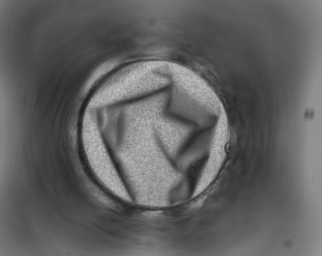 X0000101710054200808071233