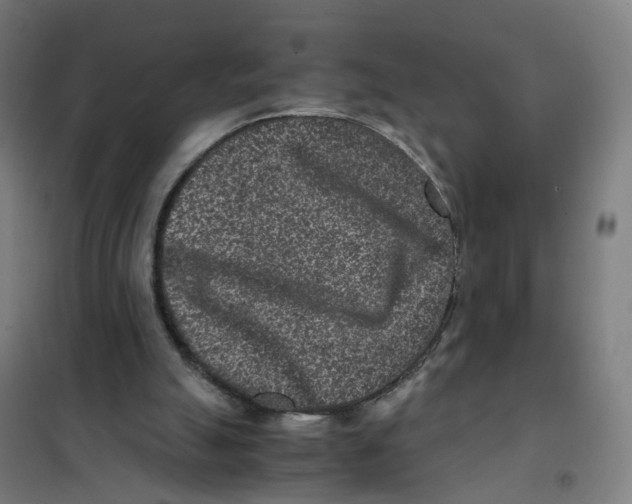 X0000101710055200808071233