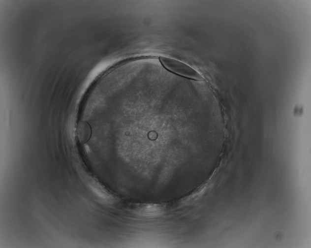 X0000101710056200808071233