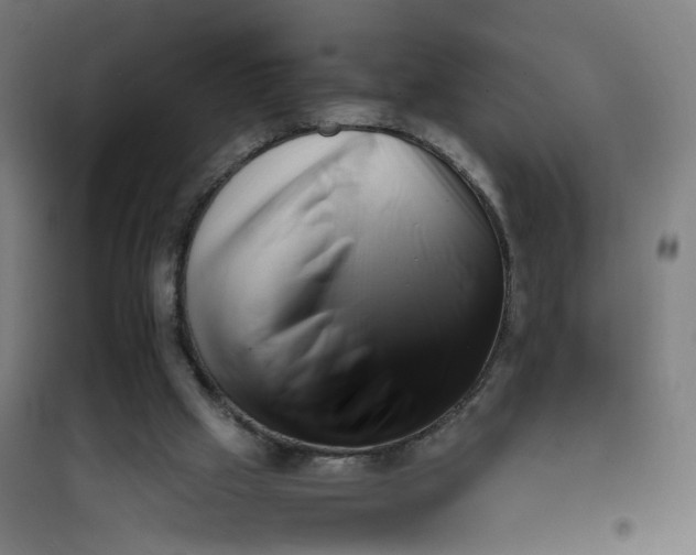 X0000101710057200808071233