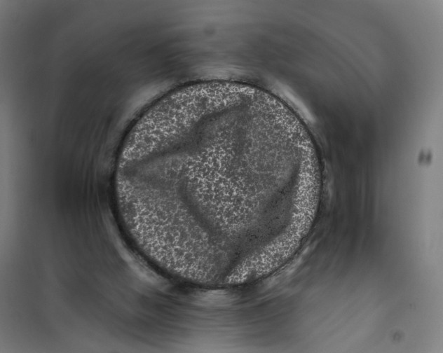X0000101710058200808071233