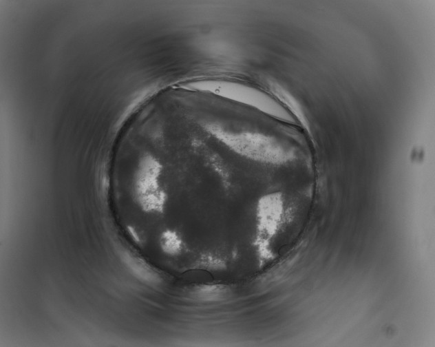 X0000101710059200808071233