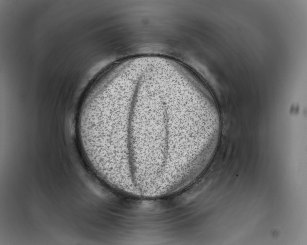 X0000101710060200808071233