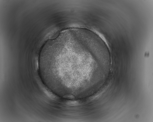 X0000101710061200808071233