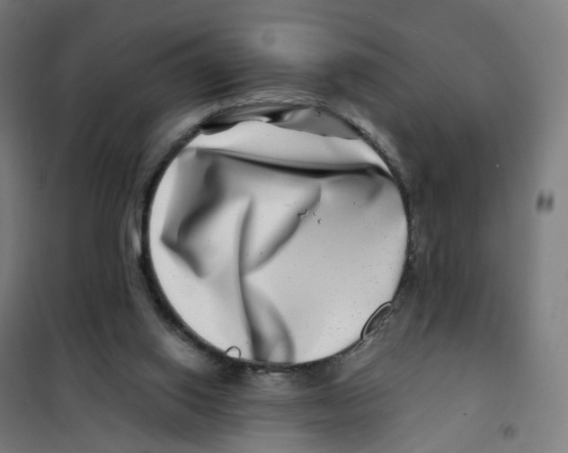 X0000101710062200808071233