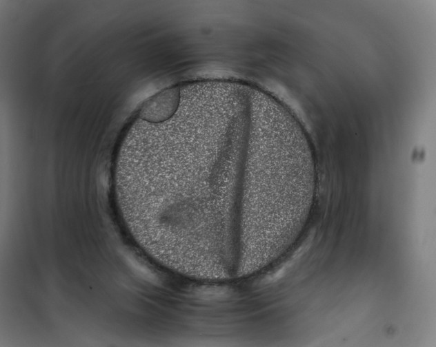 X0000101710063200808071233