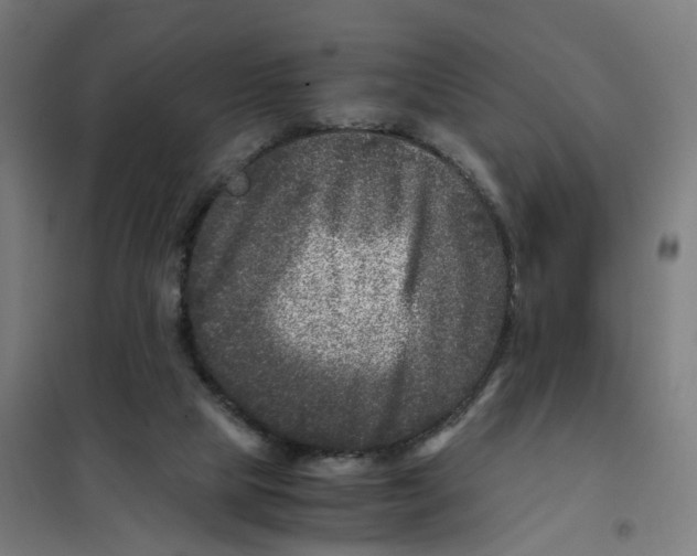 X0000101710065200808071233