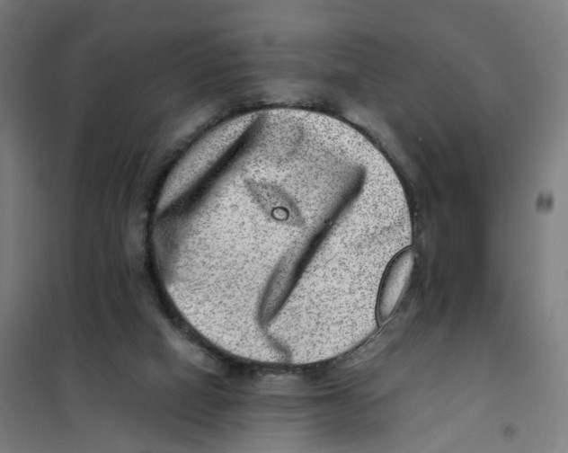 X0000101710066200808071233